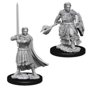 D&D Nolzur's Marvelous Miniatures - Male Human Cleric